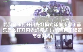 酷狗音乐打开闪光灯模式详细步骤（音乐怎么打开闪光灯模式）(酷狗音乐跟着节奏闪光)