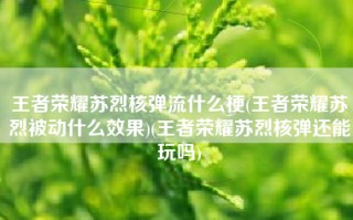 王者荣耀苏烈核弹流什么梗(王者荣耀苏烈被动什么效果)(王者荣耀苏烈核弹还能玩吗)