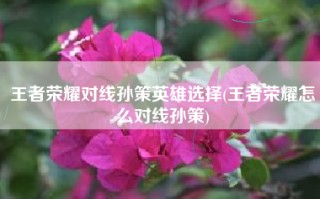 王者荣耀对线孙策英雄选择(王者荣耀怎么对线孙策)