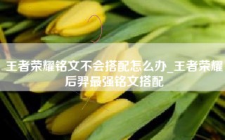王者荣耀铭文不会搭配怎么办_王者荣耀后羿最强铭文搭配