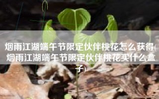 烟雨江湖端午节限定伙伴桃花怎么获得(烟雨江湖端午节限定伙伴桃花买什么盒子)