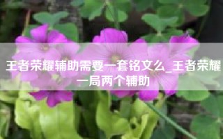 王者荣耀辅助需要一套铭文么_王者荣耀一局两个辅助