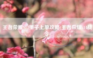王者荣耀S14墨子上单攻略(王者荣耀s14战令)