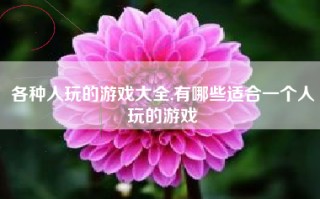 各种人玩的游戏大全,有哪些适合一个人玩的游戏