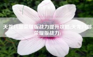 天龙八部荣耀版战力提升攻略(天龙八部荣耀版战力)