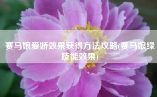 赛马娘爱娇效果获得方法攻略(赛马娘绿技能效果)