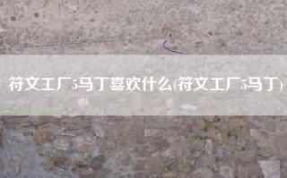 符文工厂5马丁喜欢什么(符文工厂5马丁)