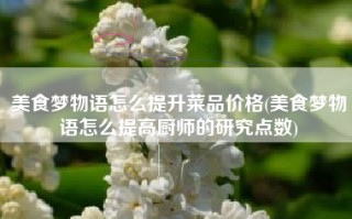美食梦物语怎么提升菜品价格(美食梦物语怎么提高厨师的研究点数)