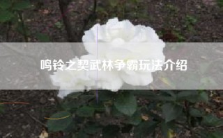 鸣铃之契武林争霸玩法介绍