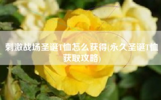 刺激战场圣诞T恤怎么获得(永久圣诞T恤获取攻略)