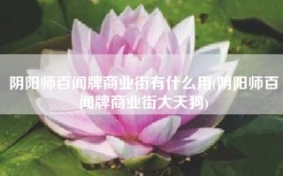 阴阳师百闻牌商业街有什么用(阴阳师百闻牌商业街大天狗)