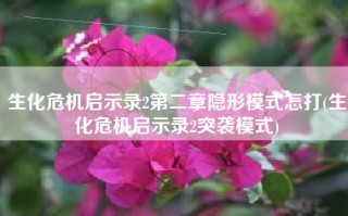 生化危机启示录2第二章隐形模式怎打(生化危机启示录2突袭模式)