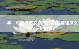 一字一句翻译英文缩写的意思(离骚原文一字一句翻译)