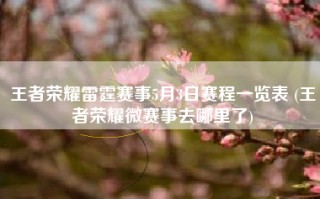 王者荣耀雷霆赛事5月3日赛程一览表 (王者荣耀微赛事去哪里了)