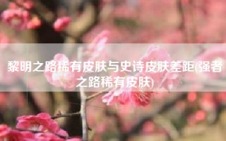 黎明之路稀有皮肤与史诗皮肤差距(强者之路稀有皮肤)