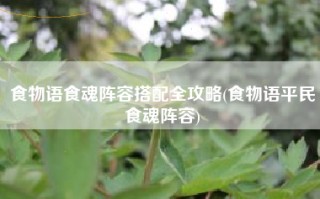 食物语食魂阵容搭配全攻略(食物语平民食魂阵容)