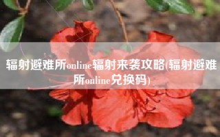 辐射避难所online辐射来袭攻略(辐射避难所online兑换码)