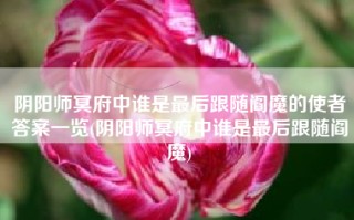 阴阳师冥府中谁是最后跟随阎魔的使者答案一览(阴阳师冥府中谁是最后跟随阎魔)