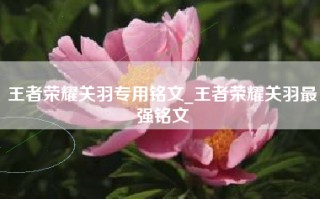 王者荣耀关羽专用铭文_王者荣耀关羽最强铭文
