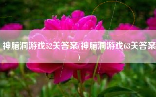 神脑洞游戏52关答案(神脑洞游戏63关答案)