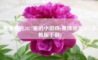 赛博朋克2077里的小游戏(赛博朋克2077手机版下载)