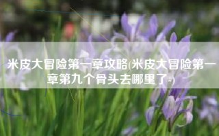 米皮大冒险第一章攻略(米皮大冒险第一章第九个骨头去哪里了-)