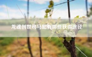 龙魂创世司马懿有哪些获得途径