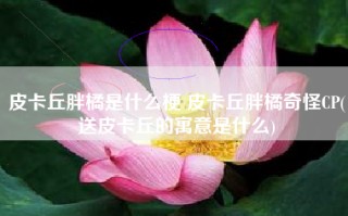 皮卡丘胖橘是什么梗 皮卡丘胖橘奇怪CP(送皮卡丘的寓意是什么)