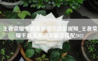 王者荣耀干将莫邪铭文出装视频_王者荣耀干将莫邪铭文最佳搭配2022