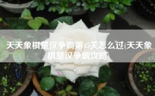 天天象棋楚汉争霸第45关怎么过(天天象棋楚汉争霸攻略)