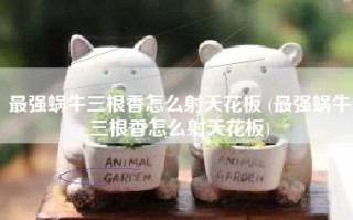 最强蜗牛三根香怎么射天花板 (最强蜗牛三根香怎么射天花板)
