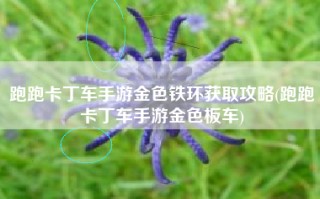 跑跑卡丁车手游金色铁环获取攻略(跑跑卡丁车手游金色板车)