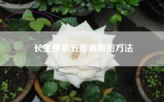 长生祭第五章鼎解密方法