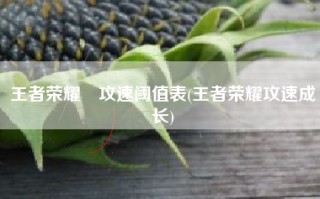 王者荣耀暃攻速阈值表(王者荣耀攻速成长)