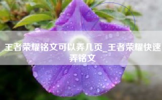王者荣耀铭文可以弄几页_王者荣耀快速弄铭文