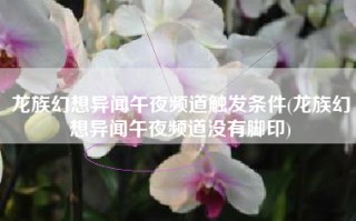 龙族幻想异闻午夜频道触发条件(龙族幻想异闻午夜频道没有脚印)