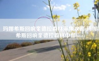 玛娜希斯回响奎德拉森林采集攻略(玛娜希斯回响奎德拉森林中部boss)