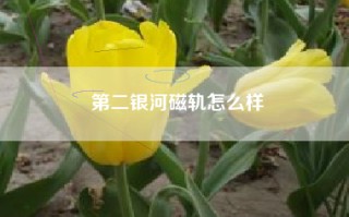 第二银河磁轨怎么样