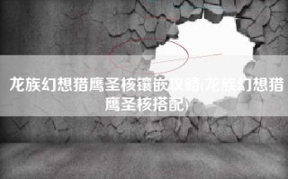 龙族幻想猎鹰圣核镶嵌攻略(龙族幻想猎鹰圣核搭配)