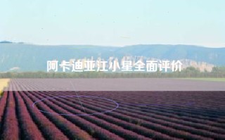 阿卡迪亚江小星全面评价