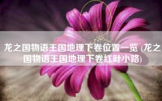 龙之国物语王国地理下卷位置一览 (龙之国物语王国地理下卷红叶小路)