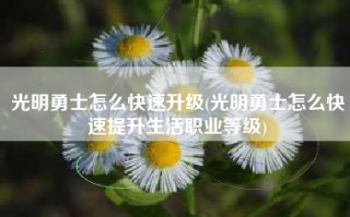 光明勇士怎么快速升级(光明勇士怎么快速提升生活职业等级)