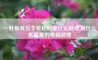 一开局有五个农民的是什么游戏,有什么低配置的电脑游戏