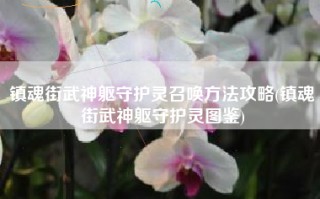 镇魂街武神躯守护灵召唤方法攻略(镇魂街武神躯守护灵图鉴)