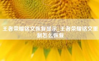 王者荣耀铭文恢复显示_王者荣耀铭文重制怎么恢复