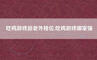 吃鸡游戏逗老外排位,吃鸡游戏哪家强