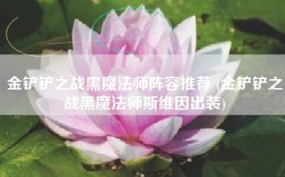 金铲铲之战黑魔法师阵容推荐 (金铲铲之战黑魔法师斯维因出装)