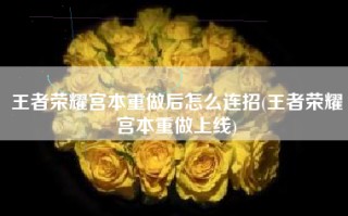 王者荣耀宫本重做后怎么连招(王者荣耀宫本重做上线)