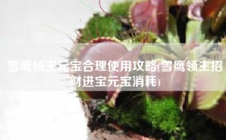 雪鹰领主元宝合理使用攻略(雪鹰领主招财进宝元宝消耗)