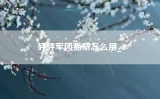 砰砰军团猫紫怎么用_1